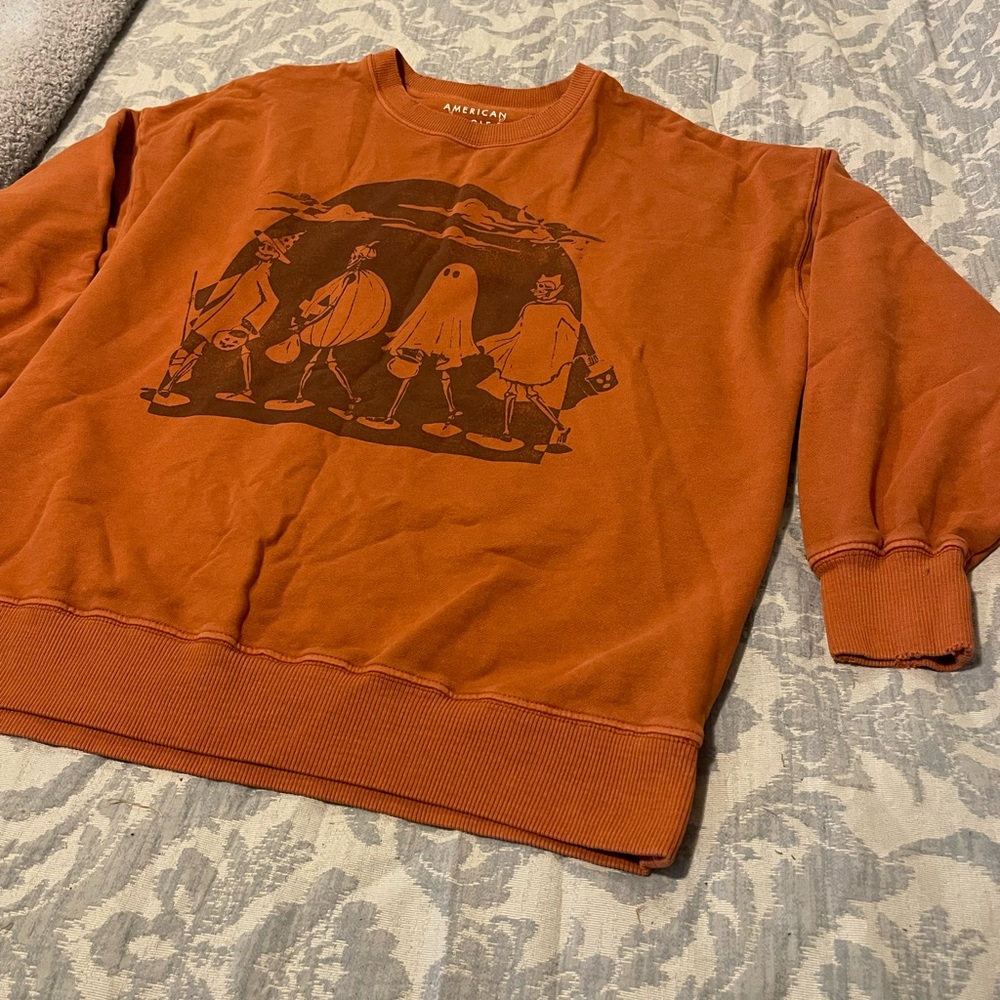 American Eagle Outfitters Rust Crewneck Sweater